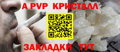 эйфоретик Тара