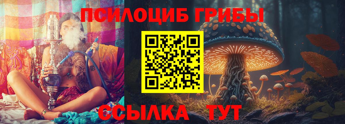 Галлюциногенные грибы Magic Shrooms  Псилоцибиновые грибы Psilocybine cubensis  Вход с VPN  Бийск 